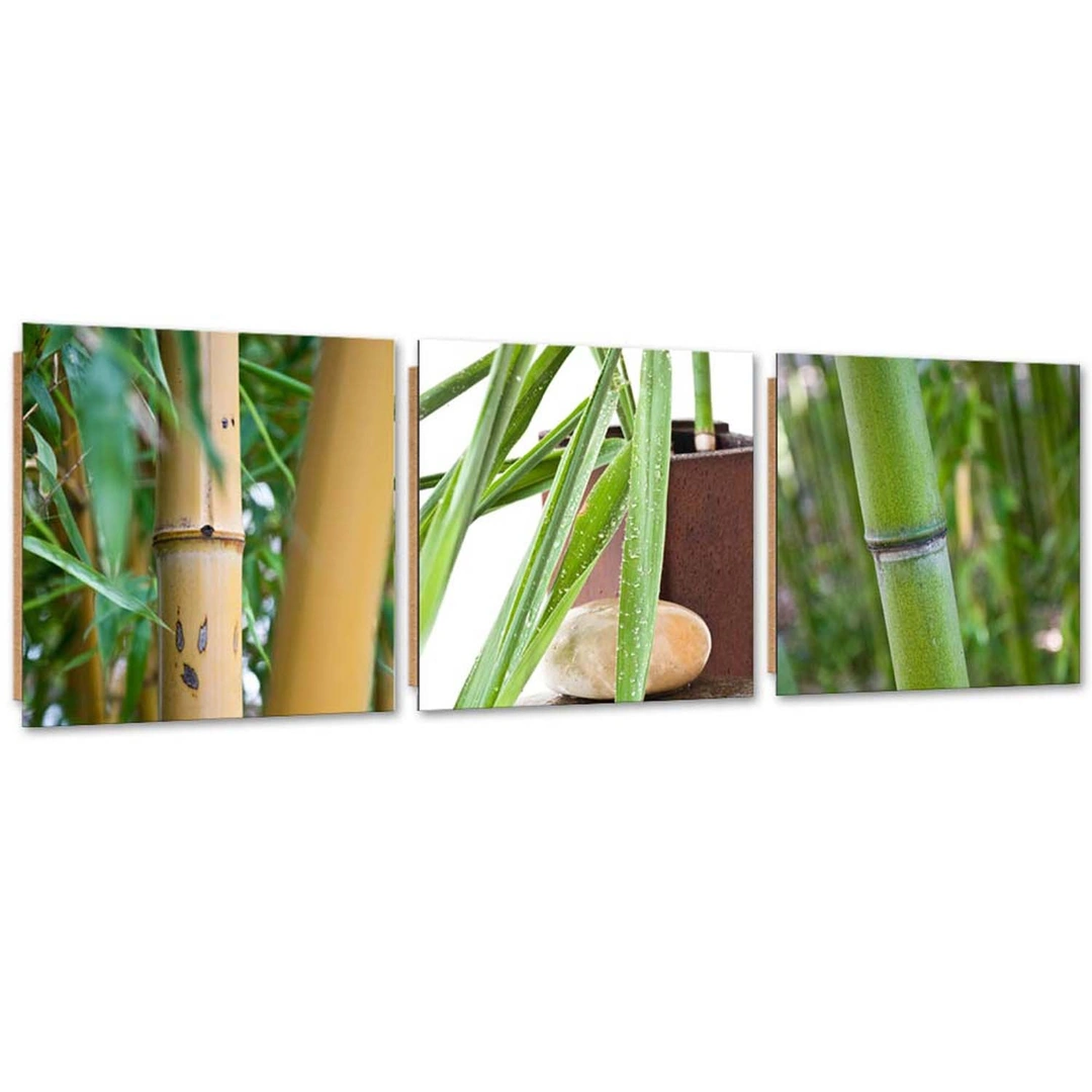 Set of three pictures deco panel, Zen bamboos