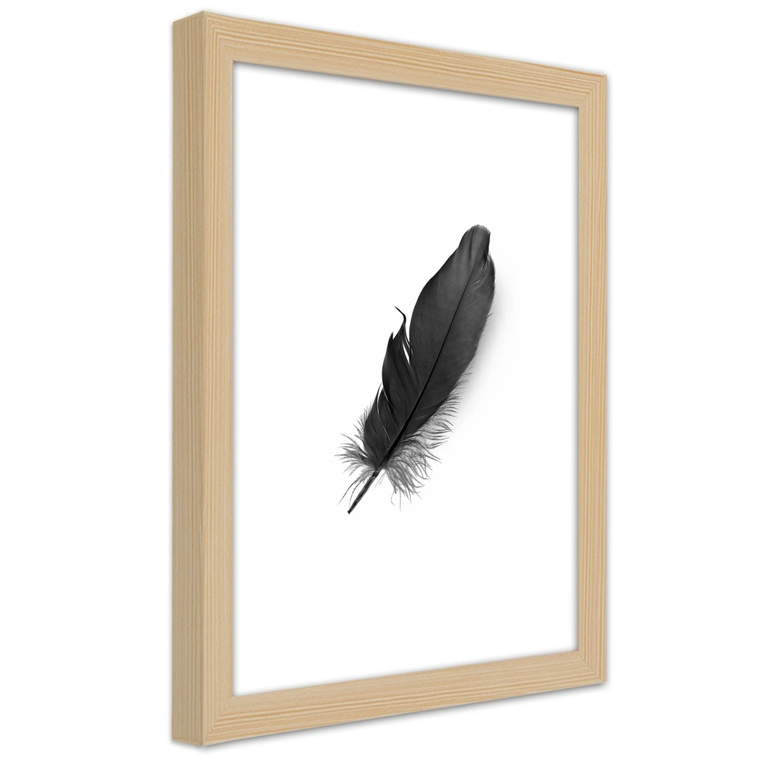 Picture in frame, Black feather