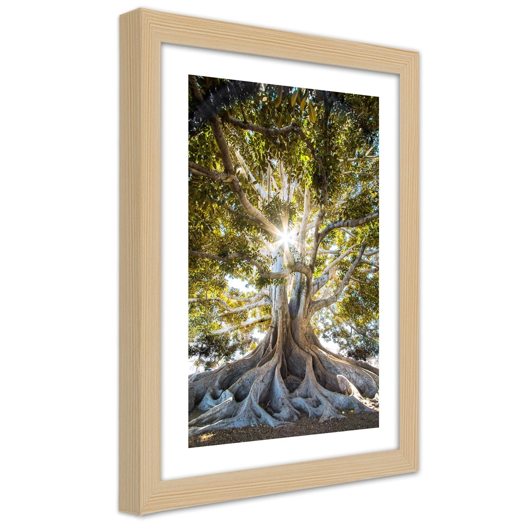 Picture in frame, Large exotic tree