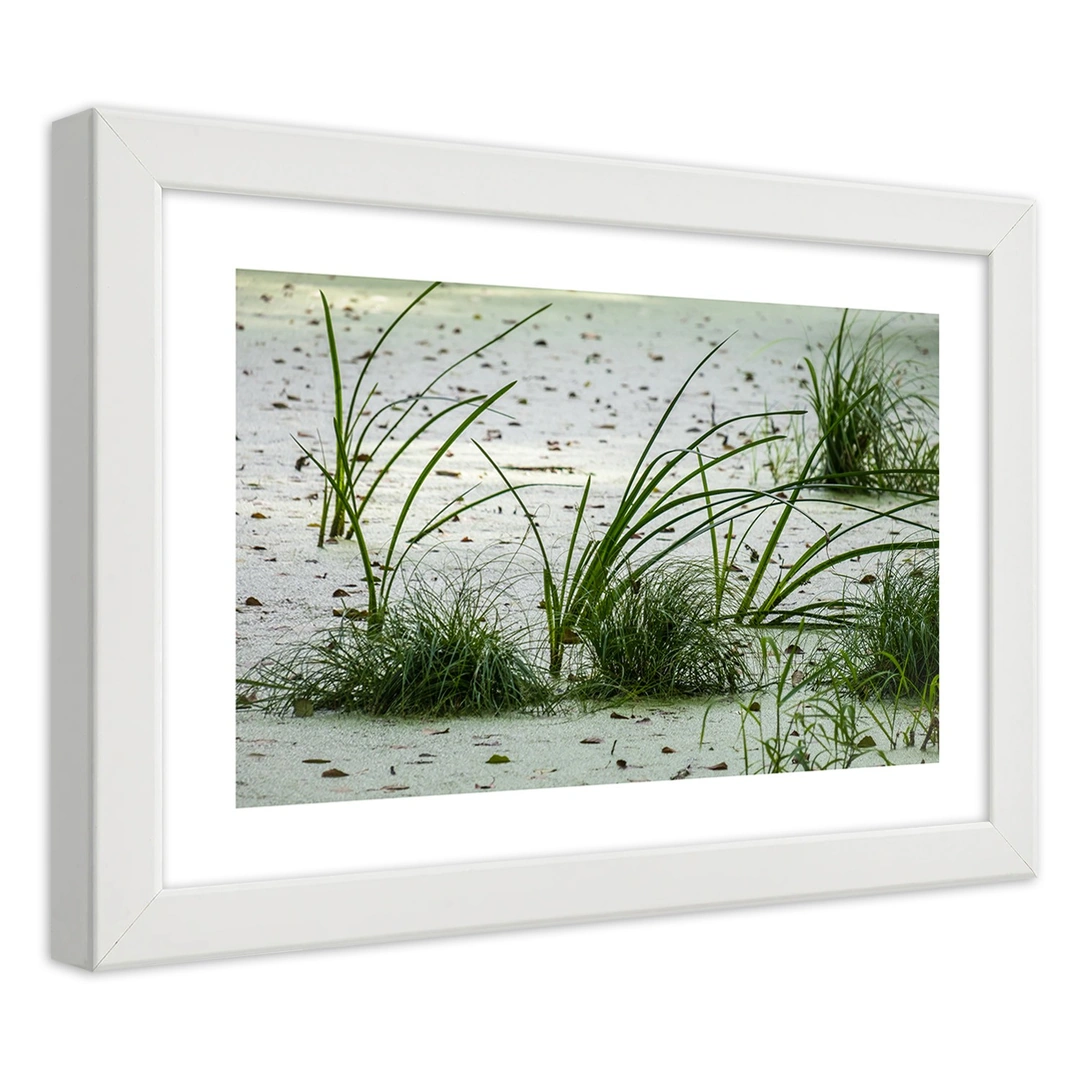 Picture in frame, Grasses on the beach