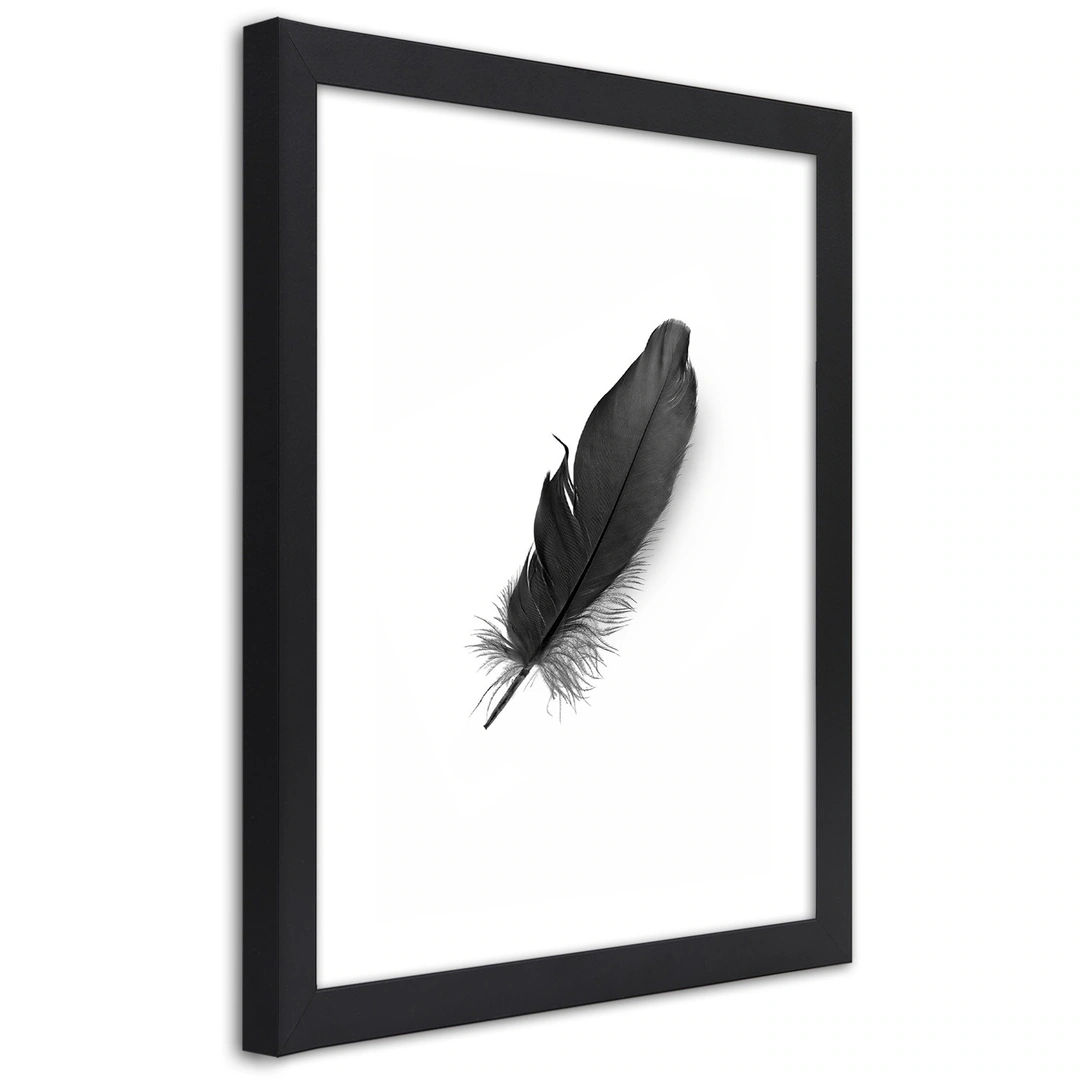 Picture in frame, Black feather