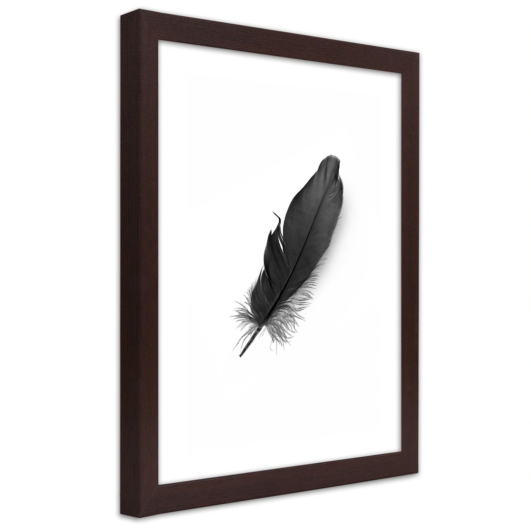 Picture in frame, Black feather
