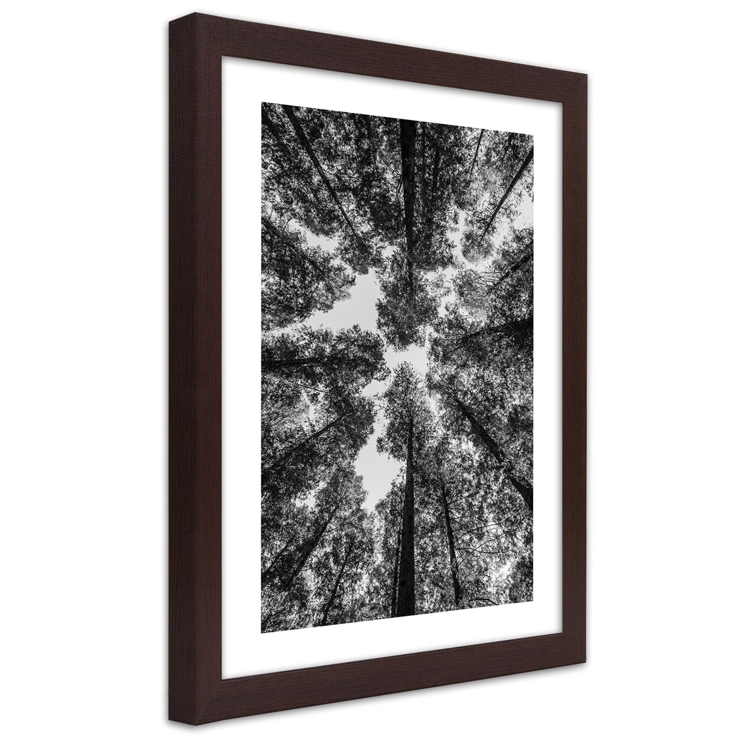 Picture in frame, Crowns of trees
