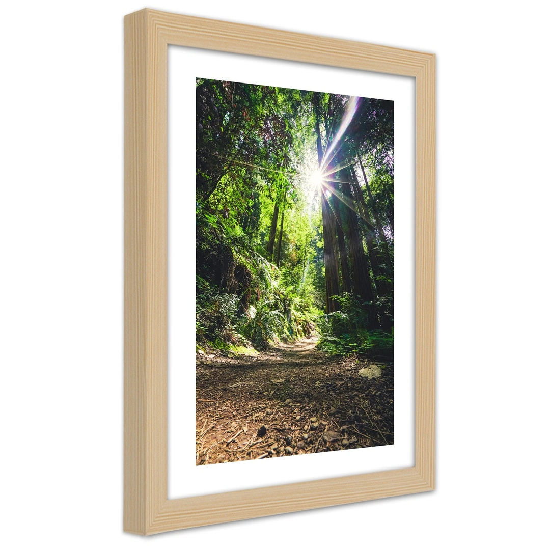 Picture in frame, Path in a dense forest