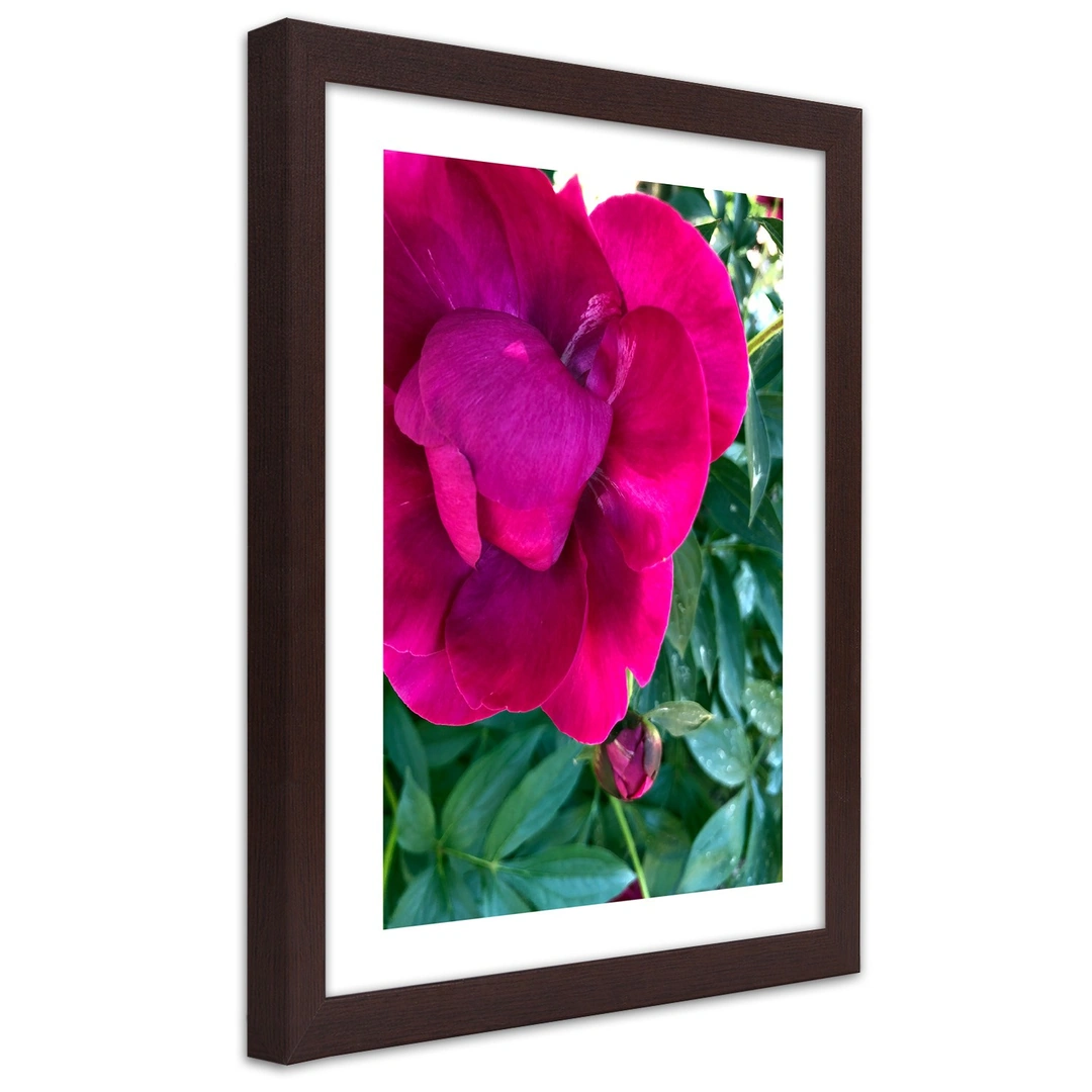 Picture in frame, Pink peony