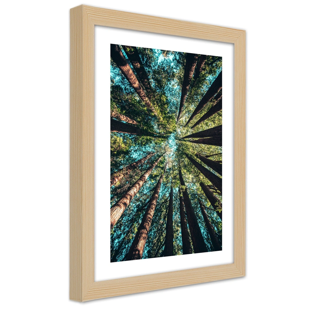 Picture in frame, The branches of tall trees