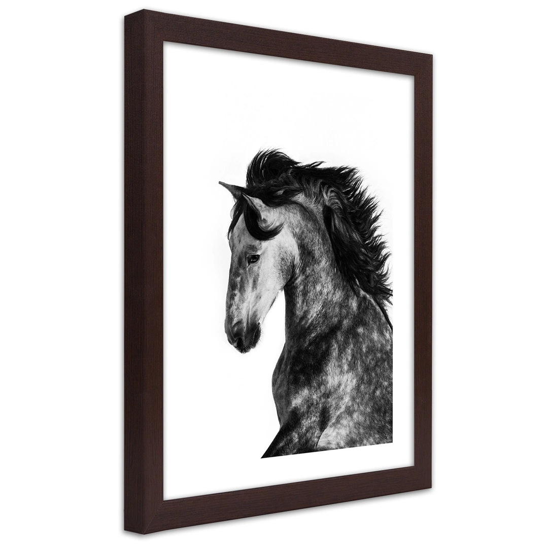 Picture in frame, Wild steed