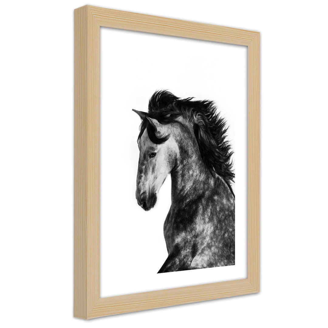 Picture in frame, Wild steed