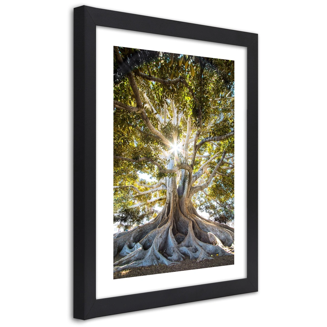 Picture in frame, Large exotic tree