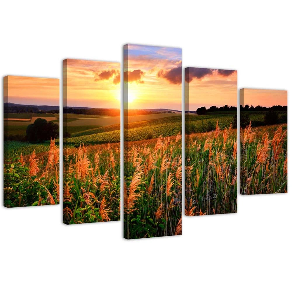 Five piece picture canvas print, Sunset over a meadow