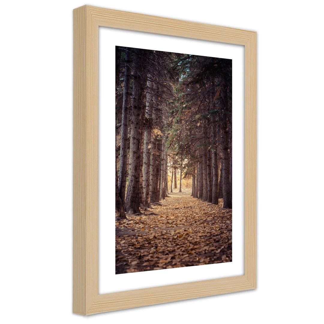 Picture in frame, Forest in autumn