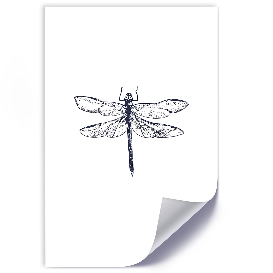 Poster, Dragonfly drawn