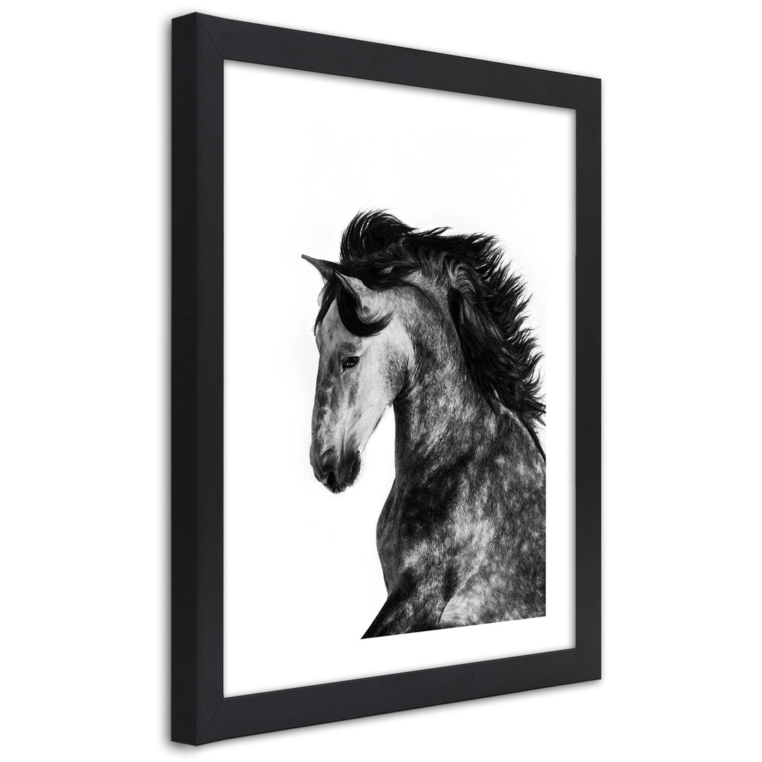 Picture in frame, Wild steed