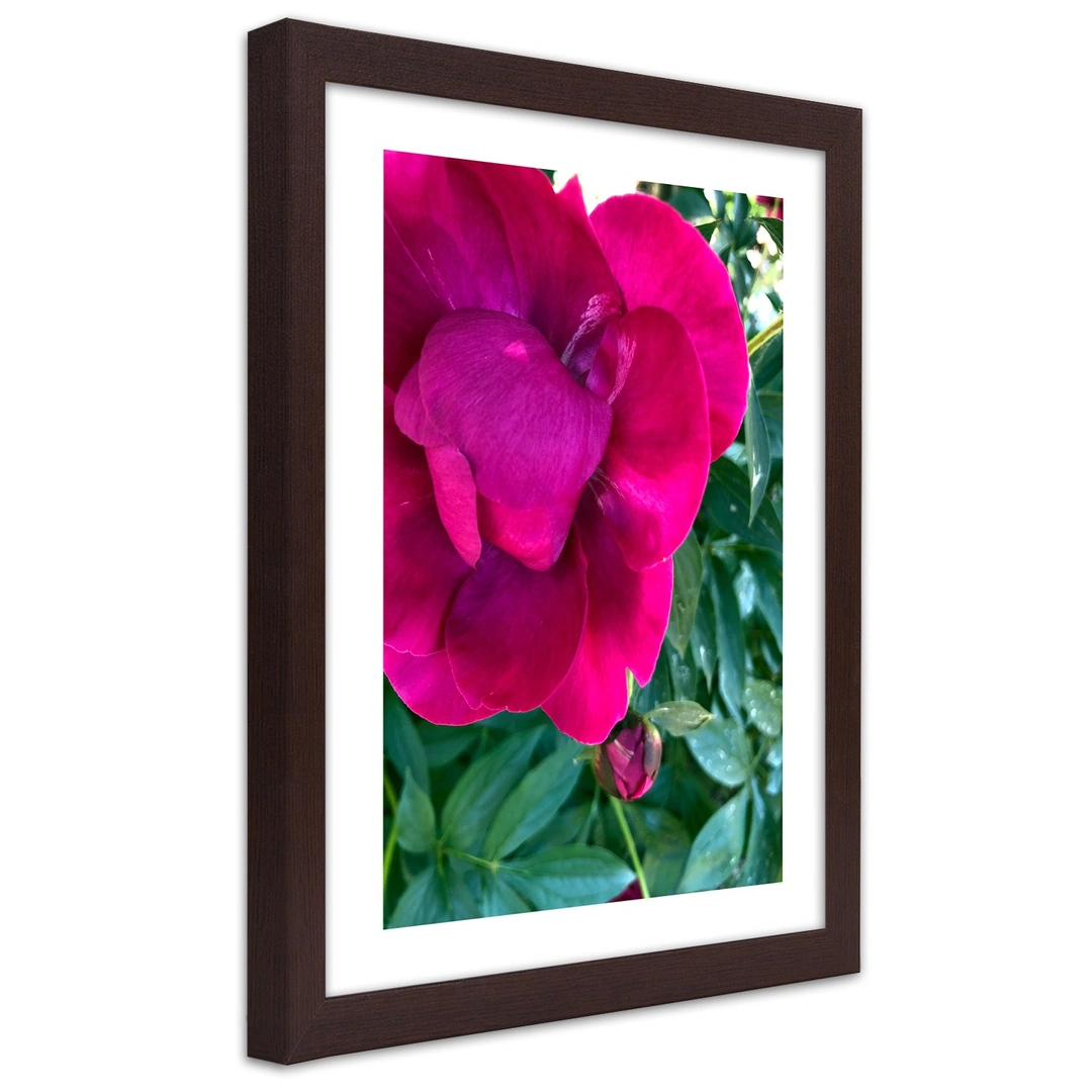 Picture in frame, Pink large flower