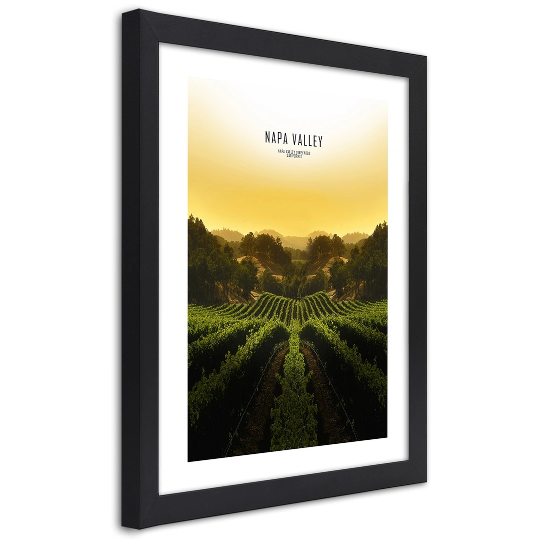 Picture in frame, Vineyards in napa vallley