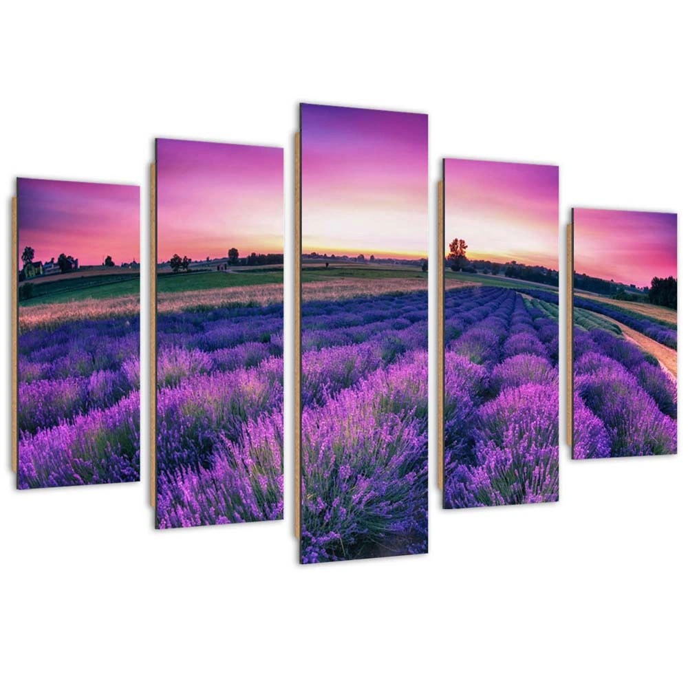 Five piece picture deco panel, Lavender field