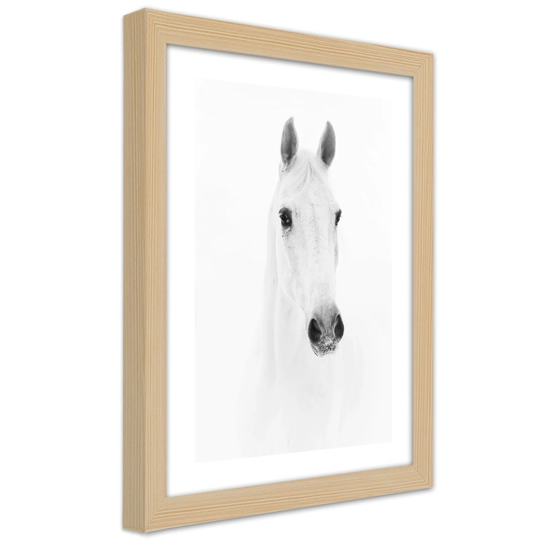 Picture in frame, Grey horse