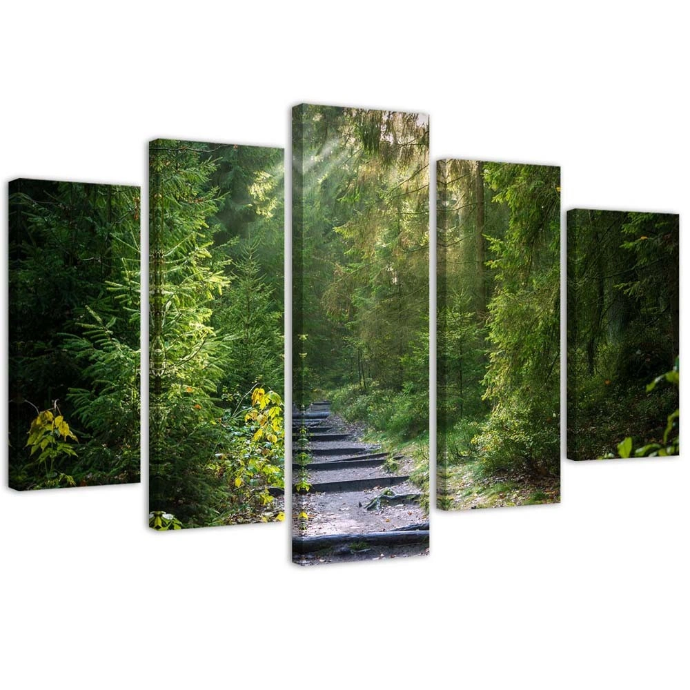 Five piece picture canvas print, Path in a green forest