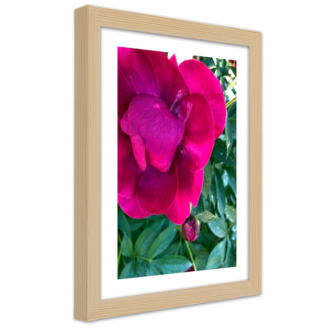 Picture in frame, Pink large flower