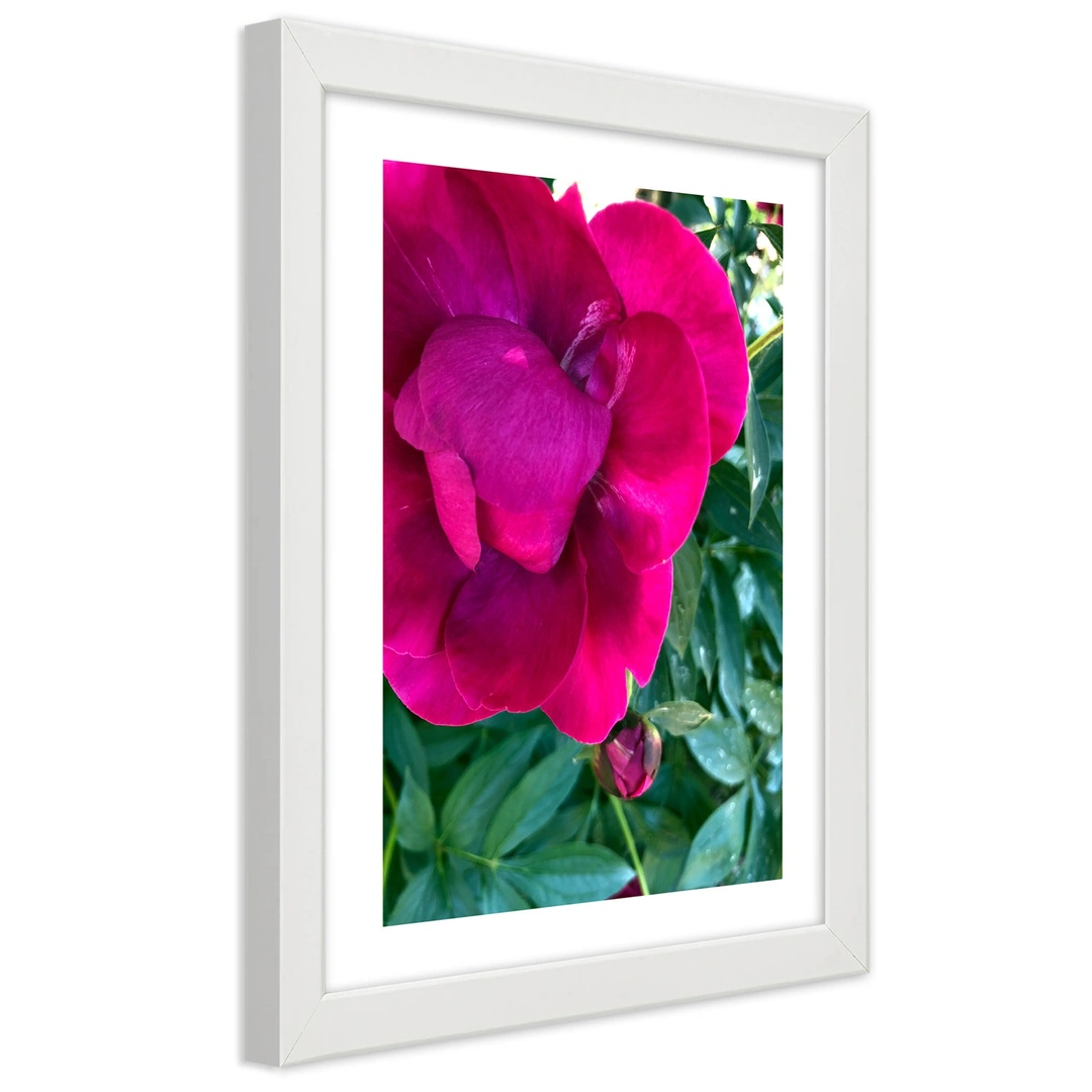 Picture in frame, Pink large flower