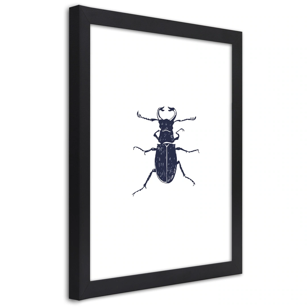 Picture in frame, Black beetle