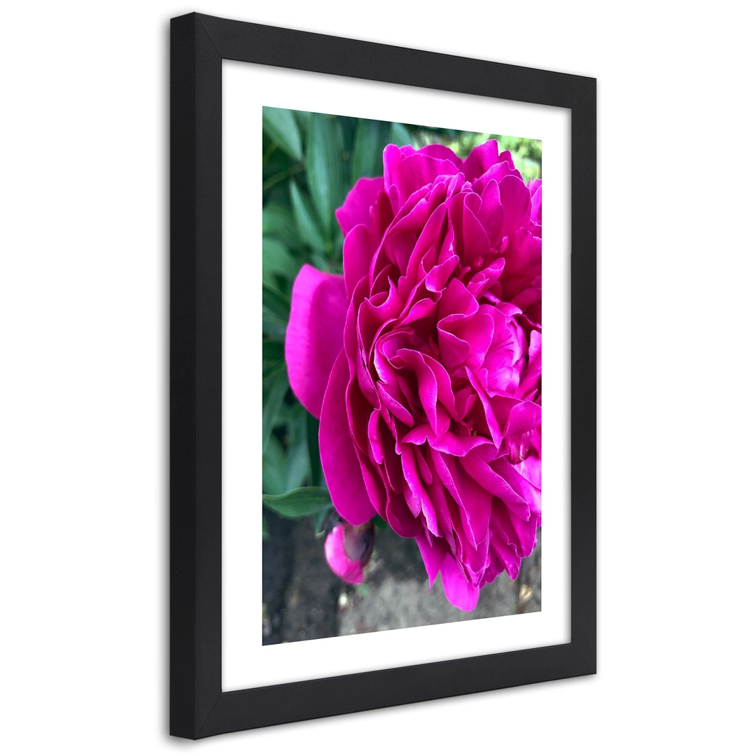 Picture in frame, Pink large flower