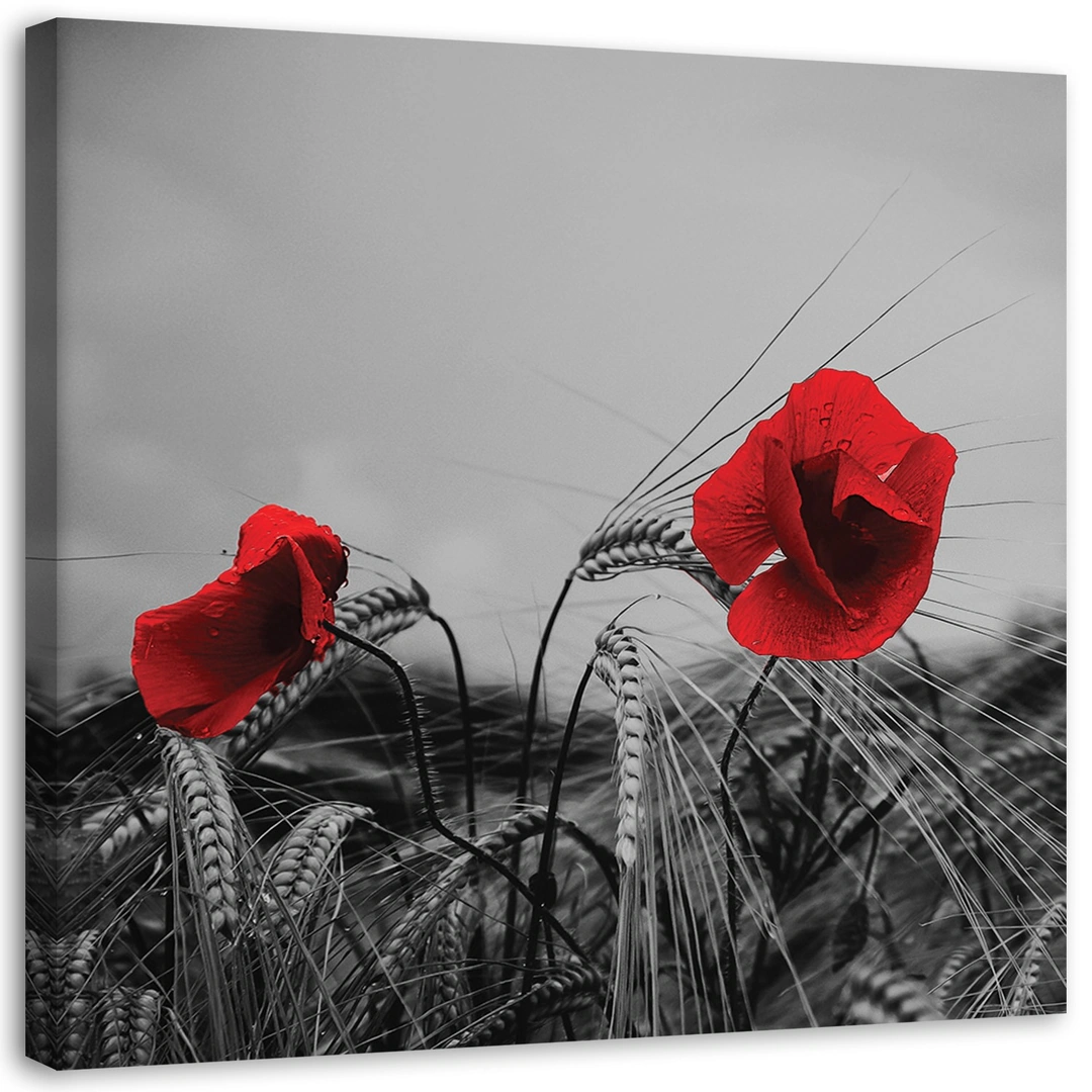 Canvas print, Red poppies and grain