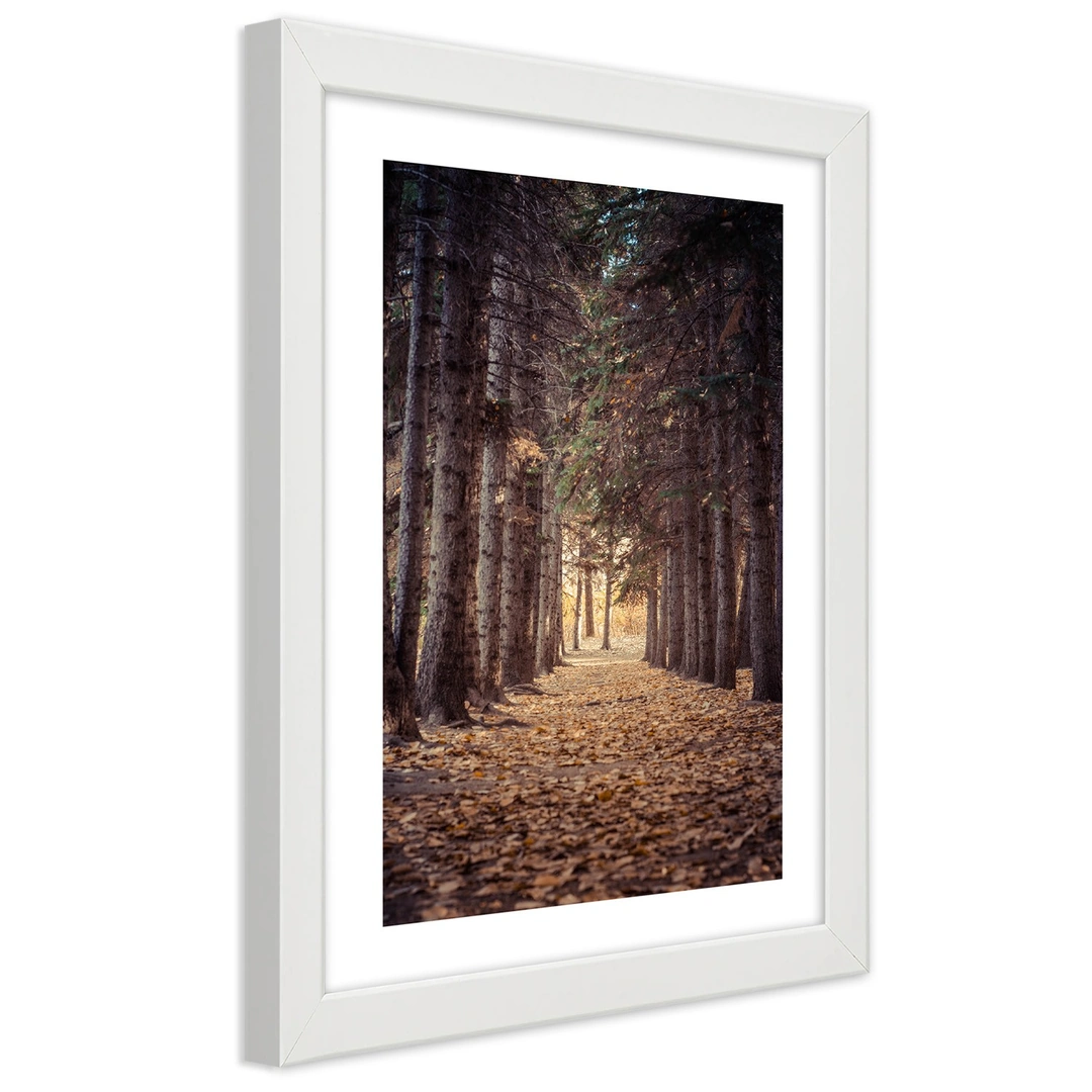 Picture in frame, Forest in autumn