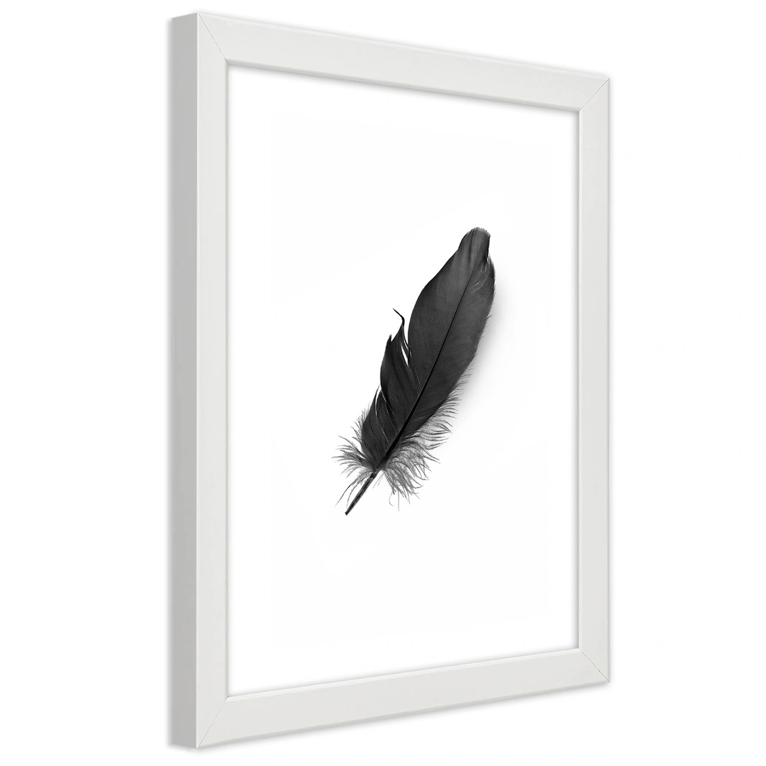 Picture in frame, Black feather
