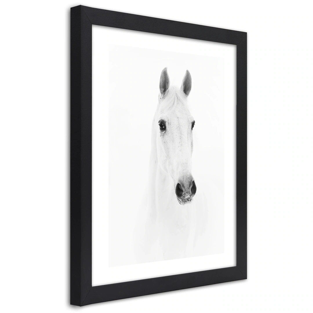 Picture in frame, Grey horse