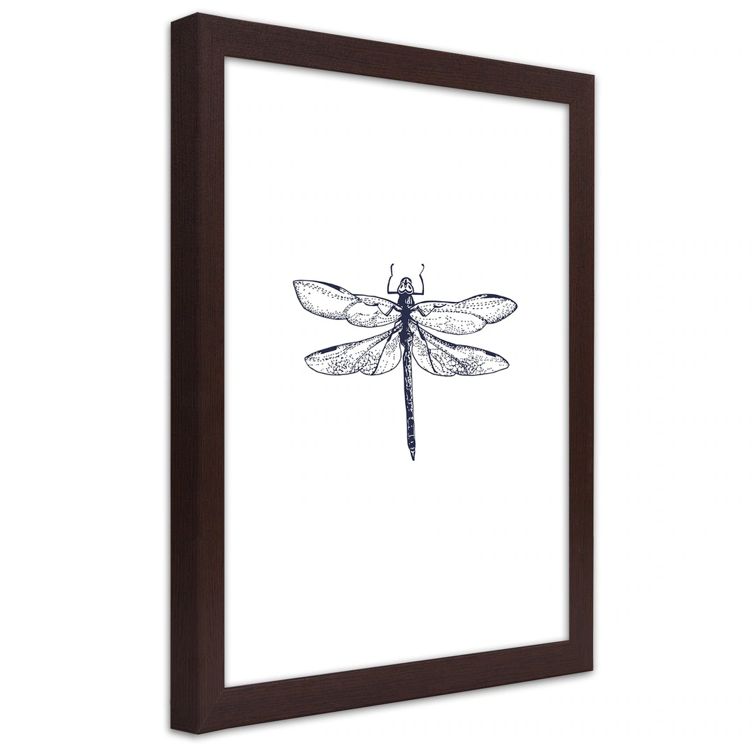 Picture in frame, Dragonfly drawn