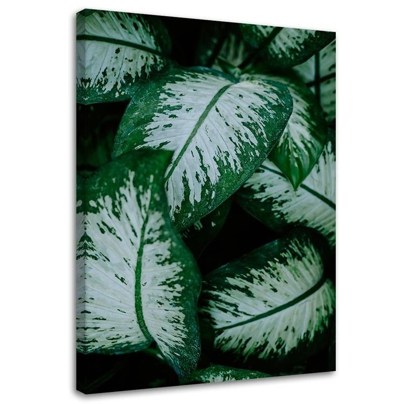 Canvas print, Tropical leaves white and green