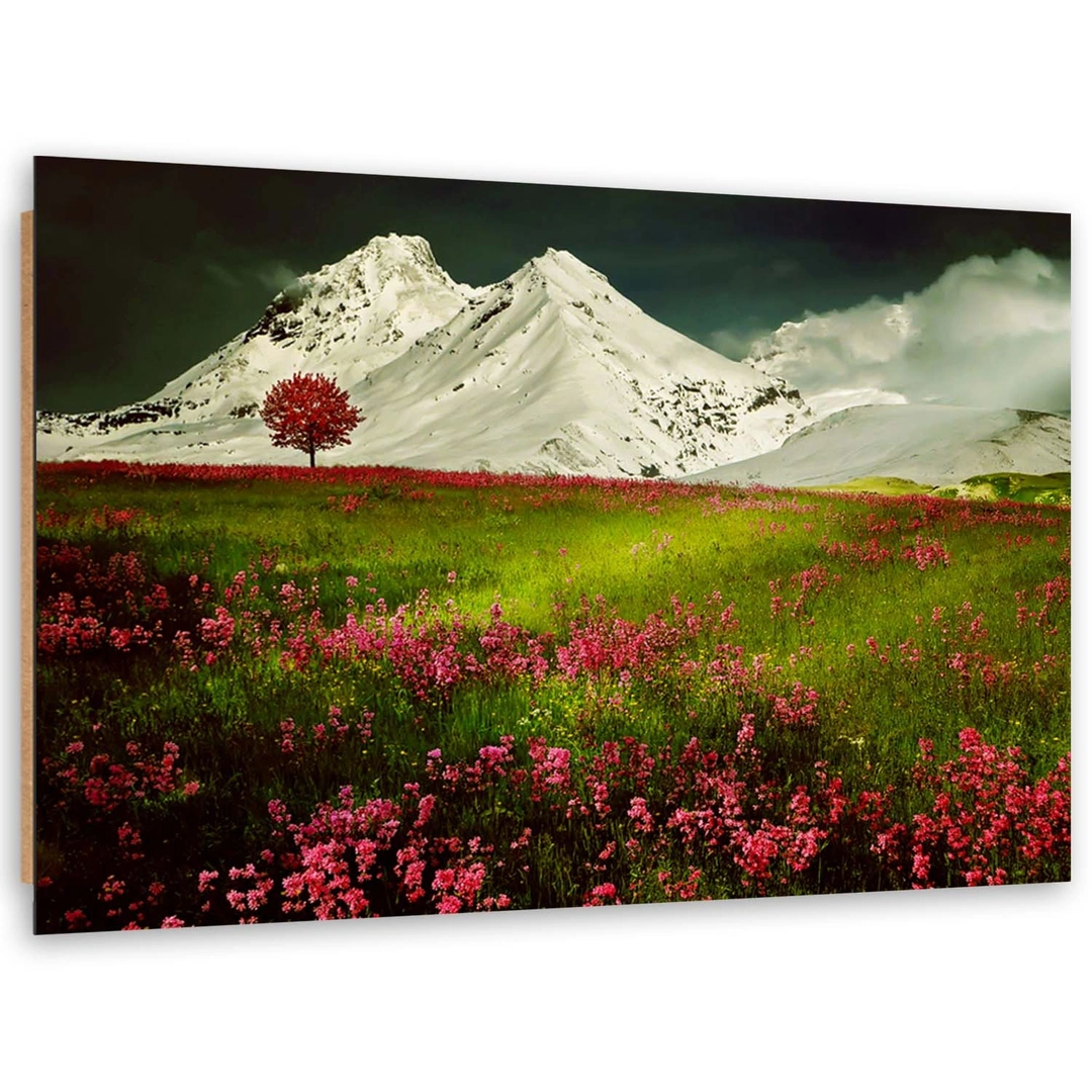 Deco panel print, Mountains in snow and a colourful meadow