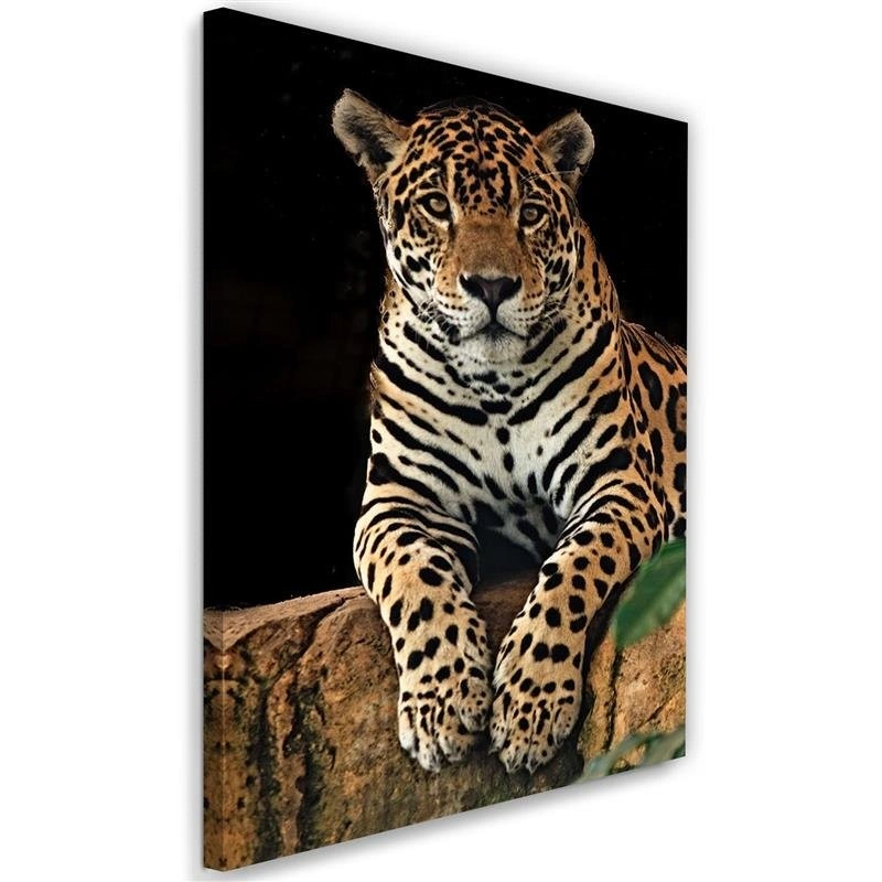 Canvas print, Leopard at rest