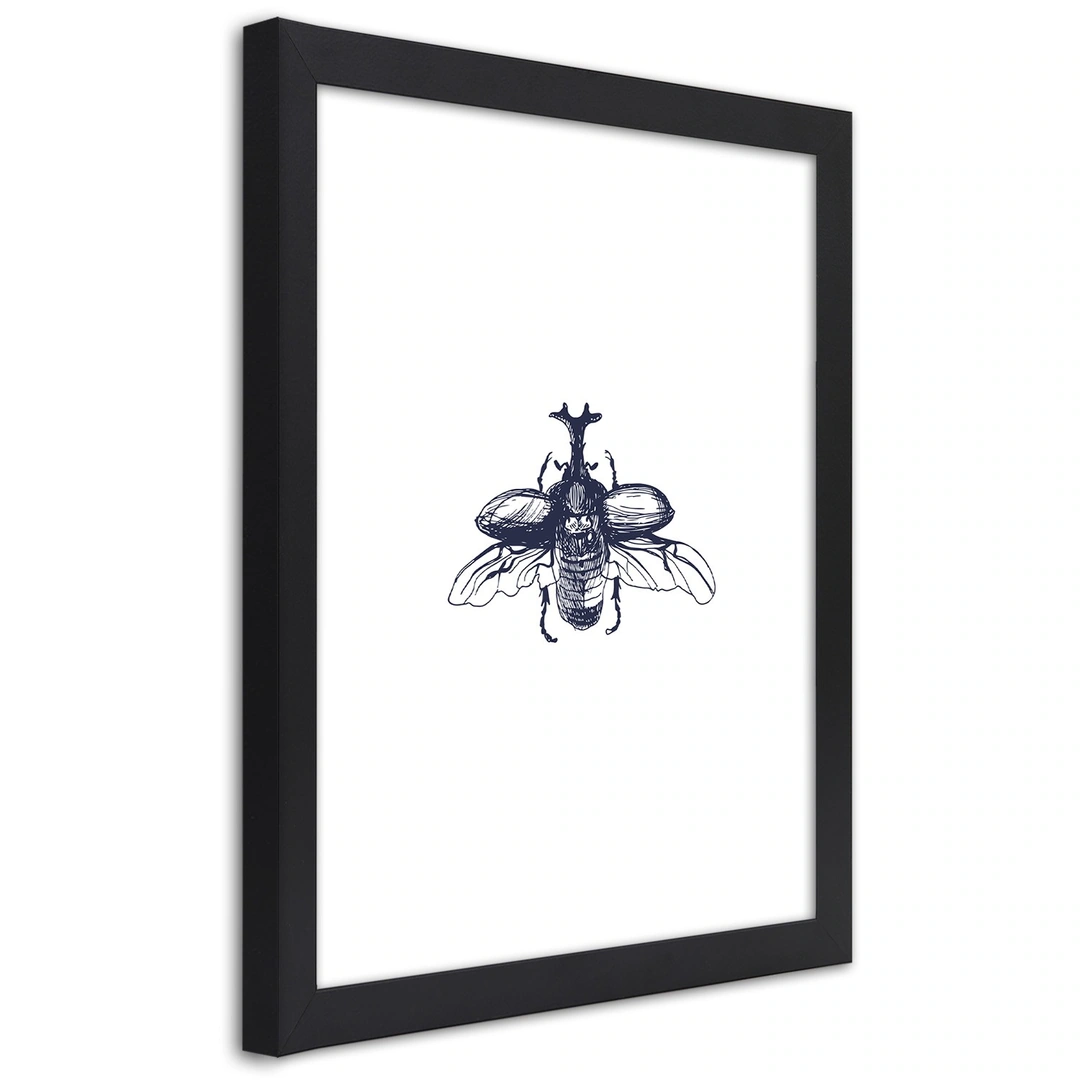 Picture in frame, Flying beetle