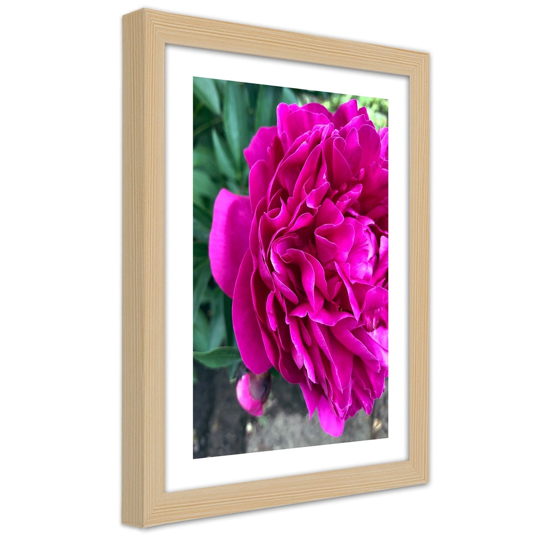 Picture in frame, Pink large flower