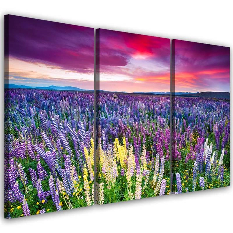 Three piece picture canvas print, Flowery meadow