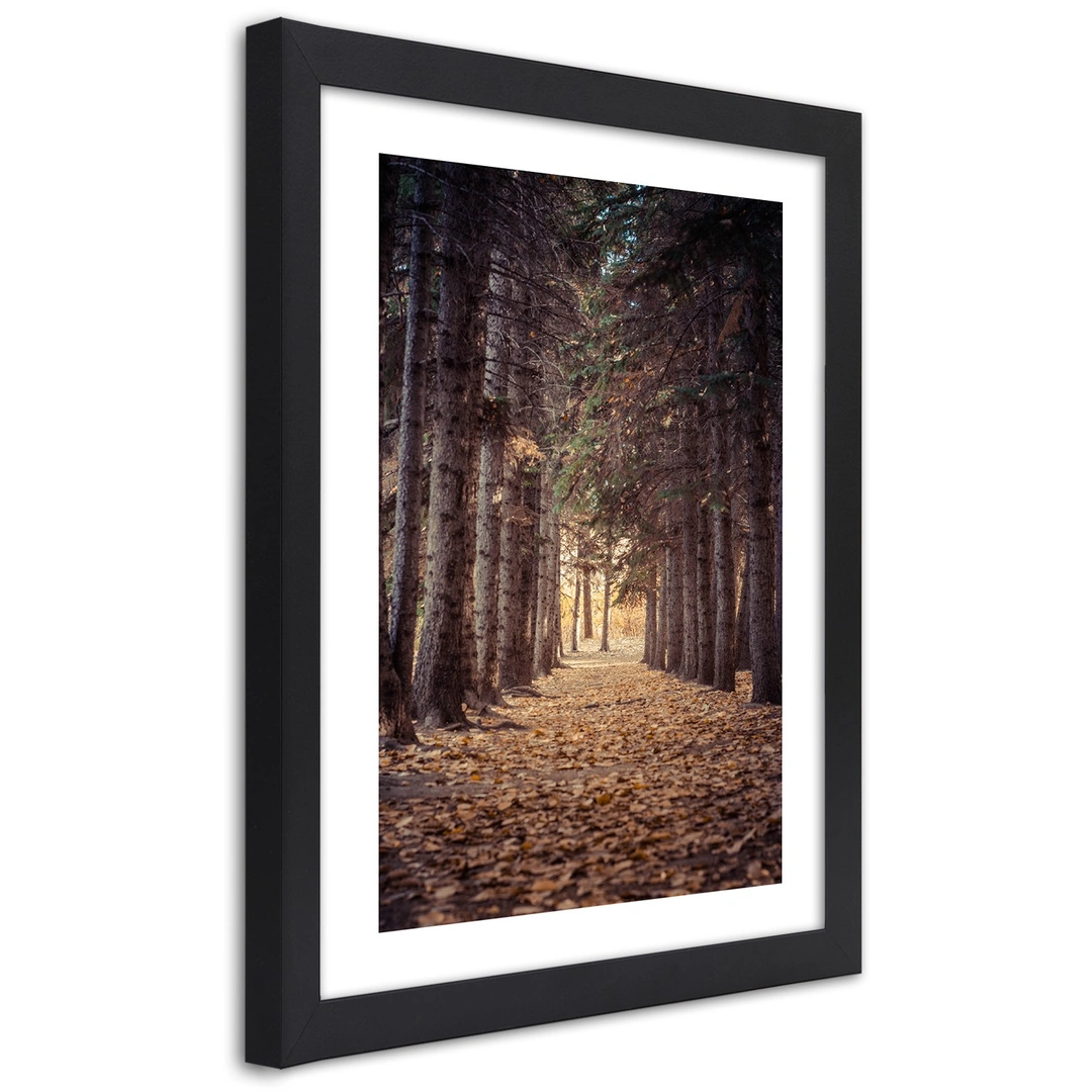 Picture in frame, Forest in autumn