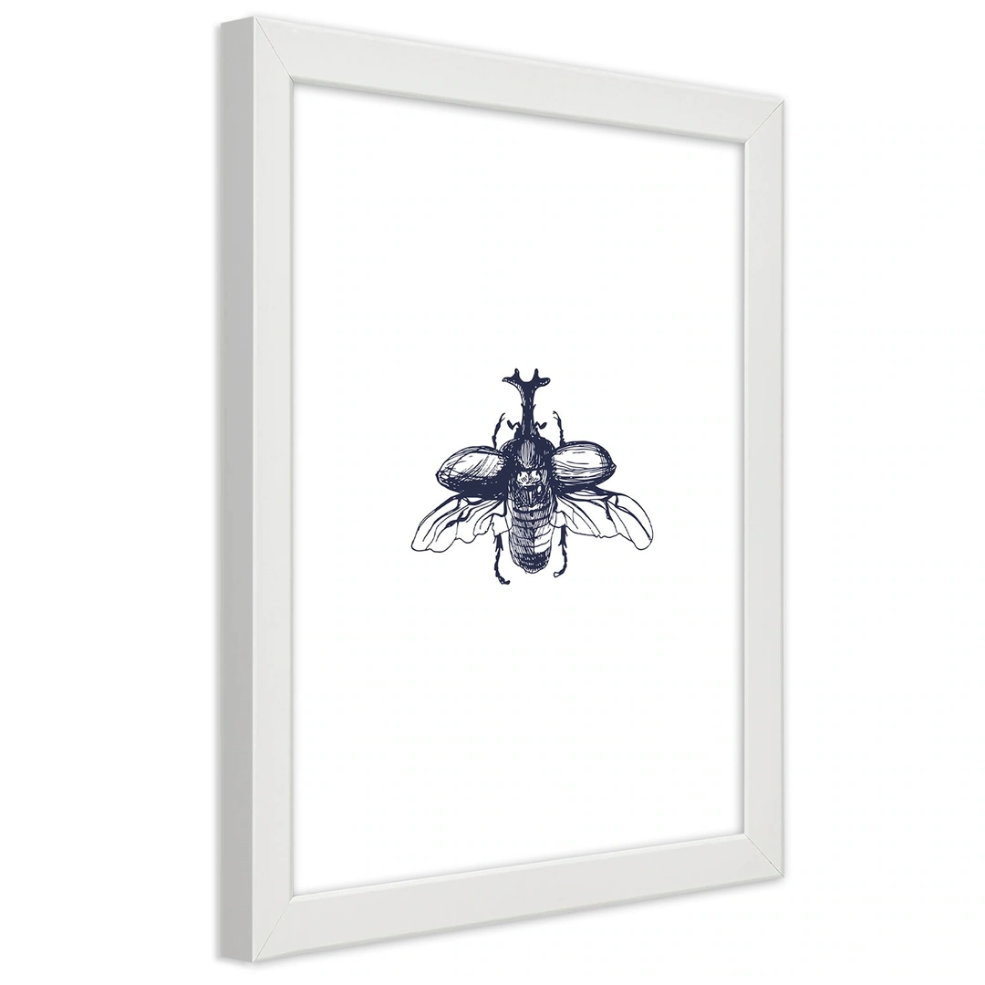 Picture in frame, Flying beetle