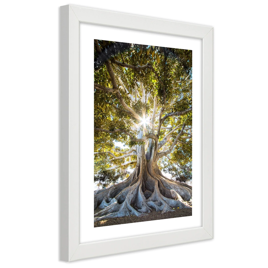 Picture in frame, Large exotic tree