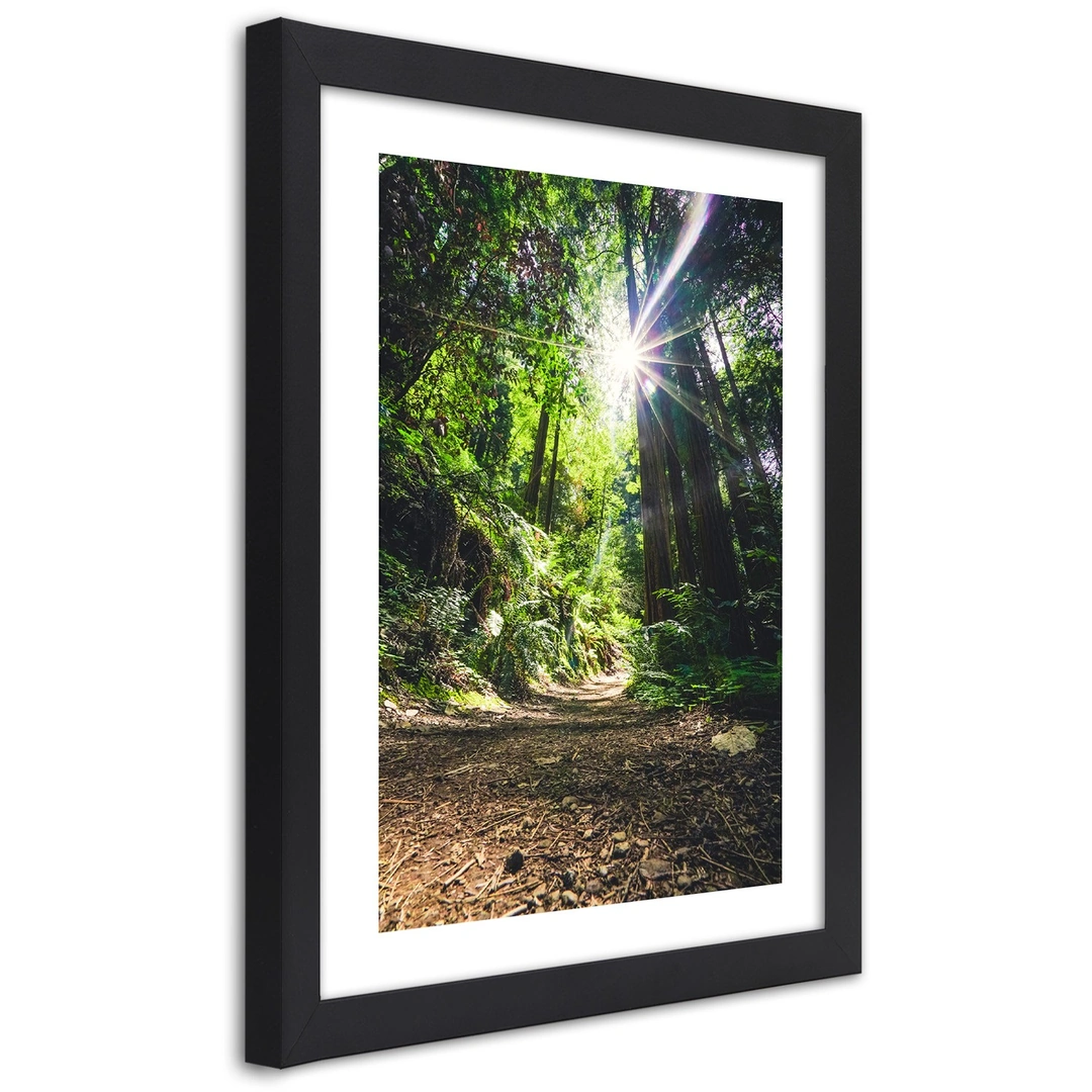 Picture in frame, Path in a dense forest