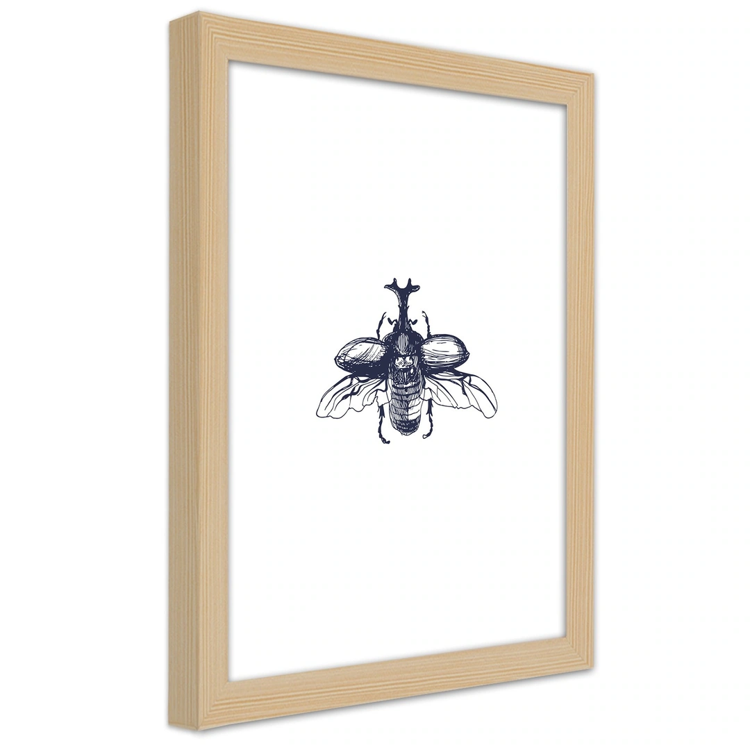 Picture in frame, Flying beetle