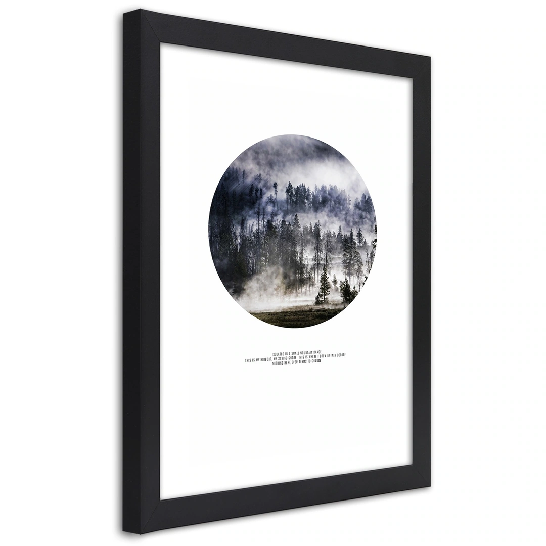 Picture in frame, Forest in mist