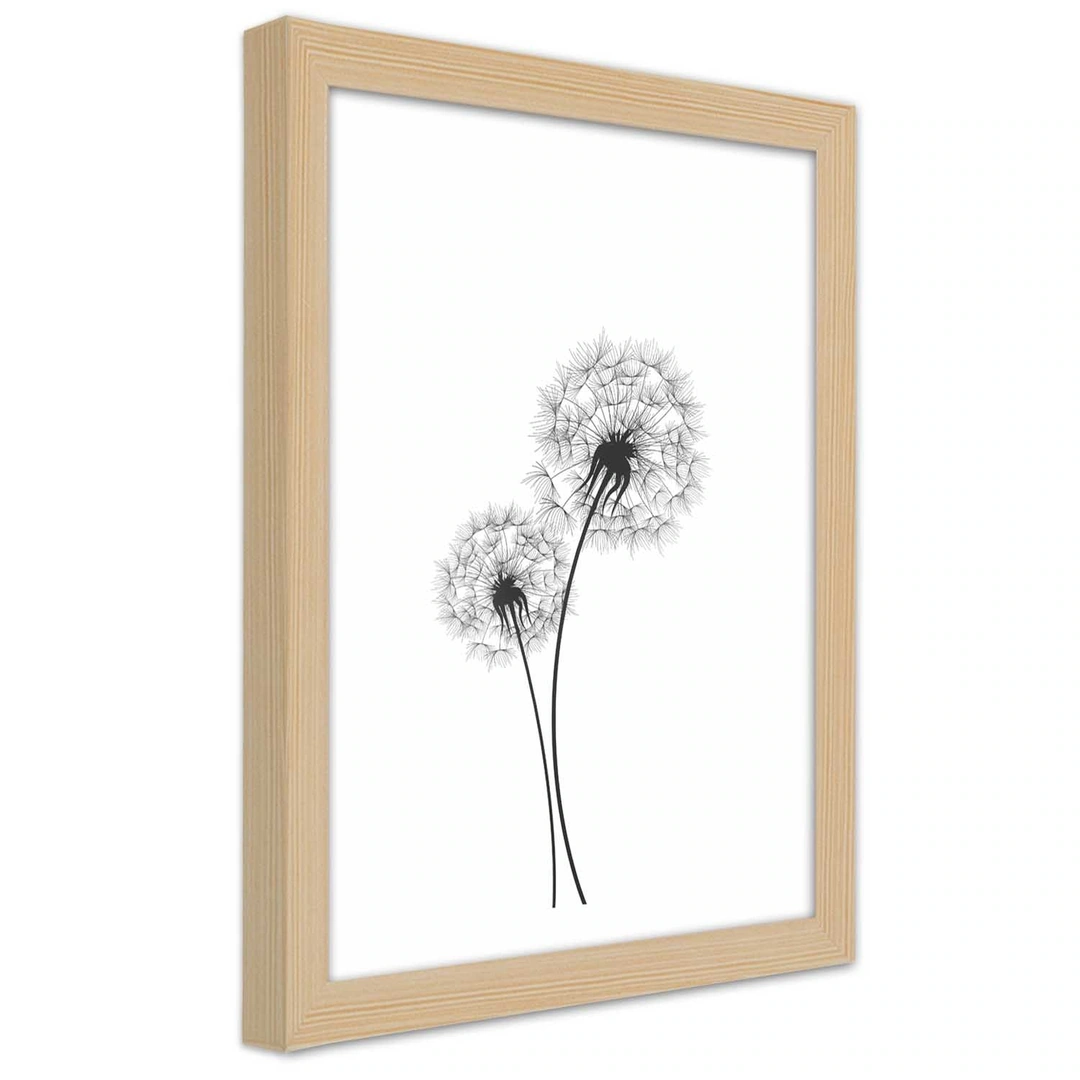 Picture in frame, Drawn two dandelions