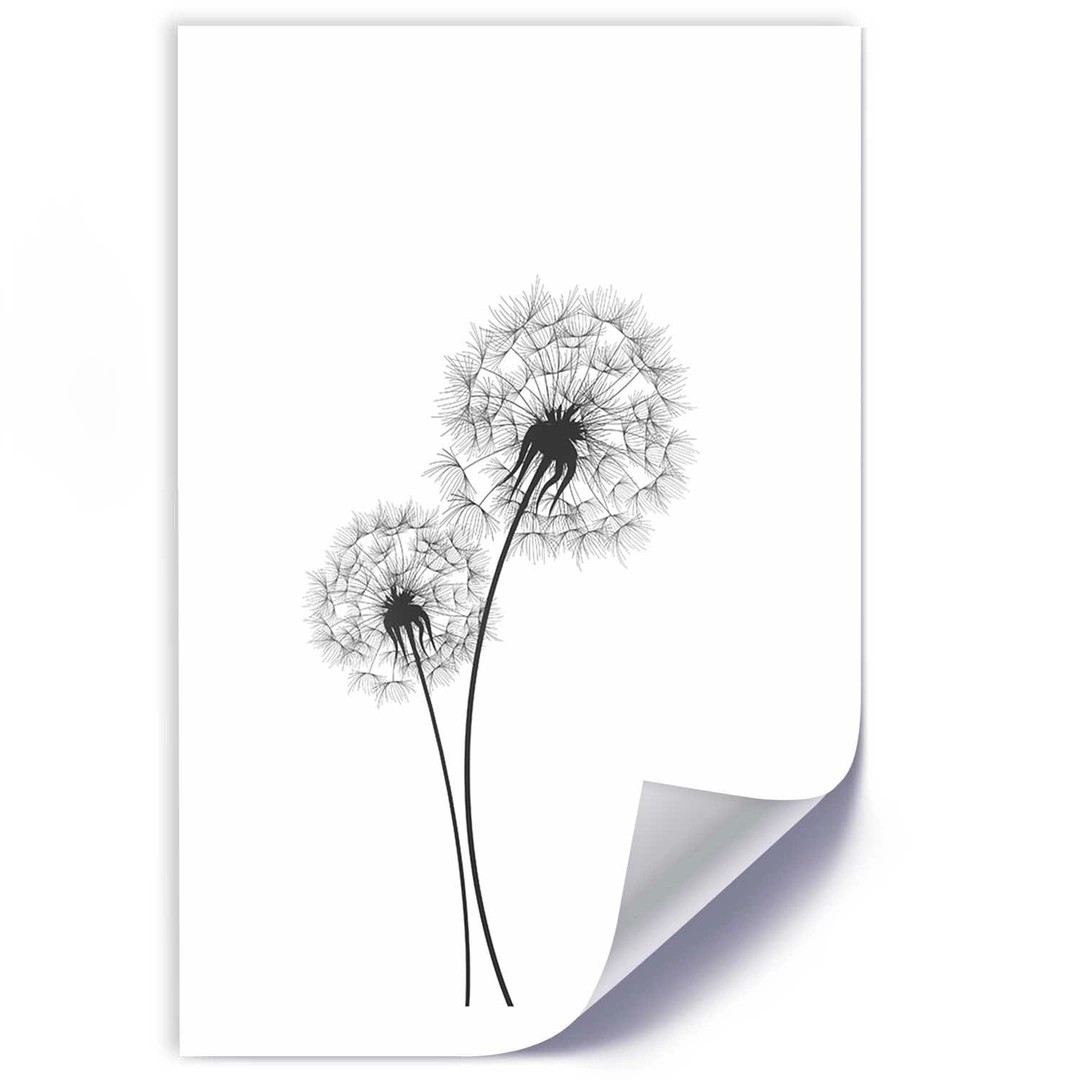 Poster, Drawn two dandelions