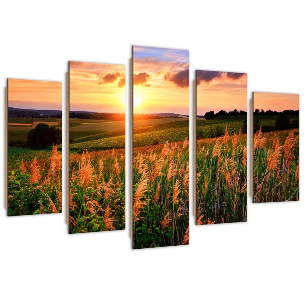 Five piece picture deco panel, Sunset over a meadow