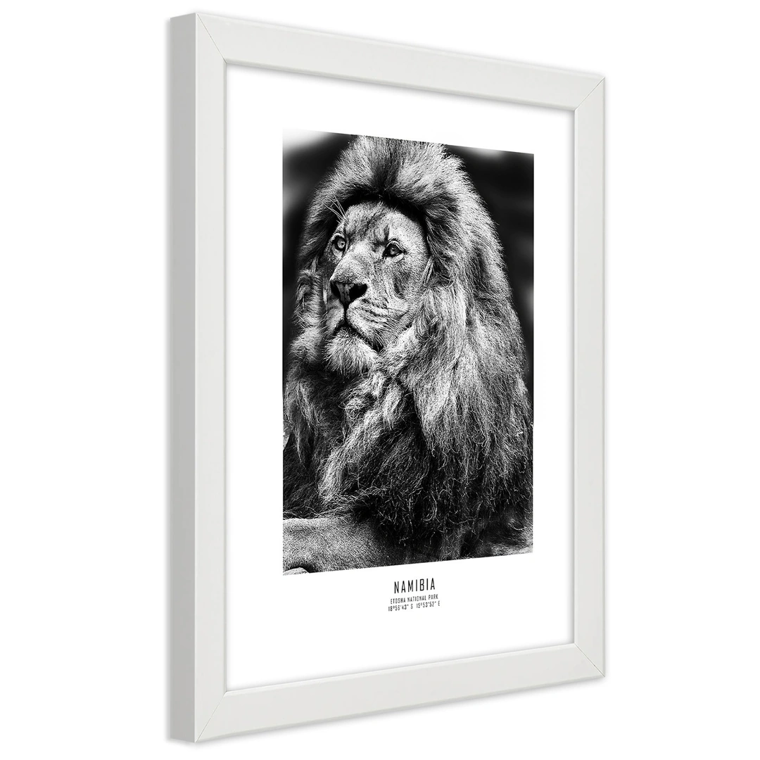 Picture in frame, Symbol of africa