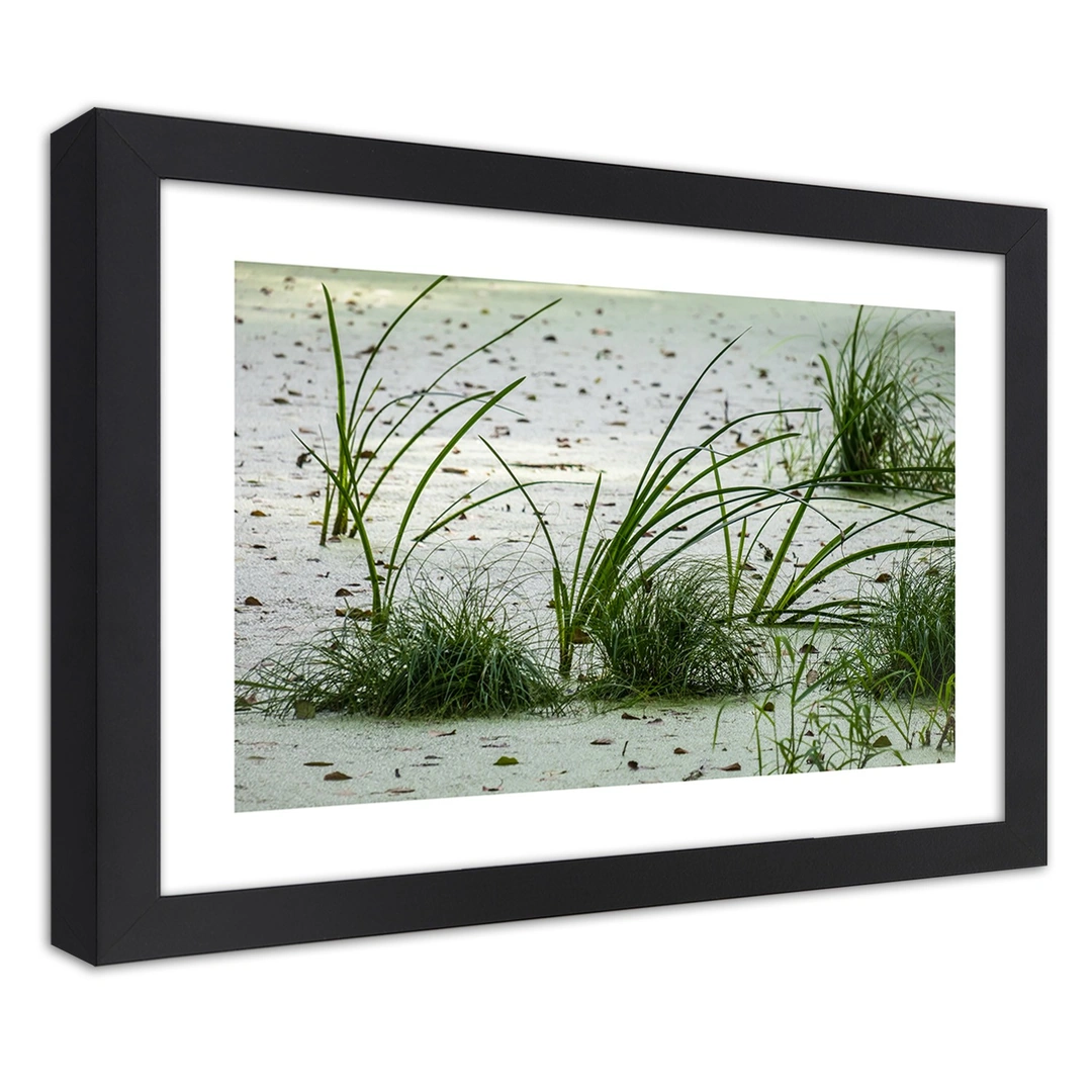 Picture in frame, Grasses on the beach