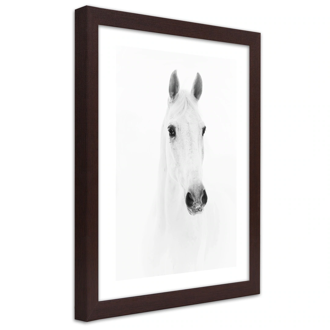 Picture in frame, Grey horse