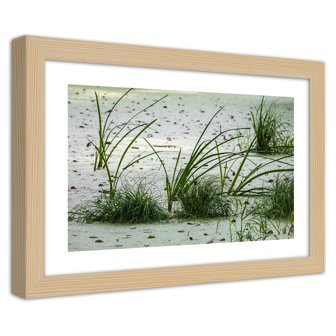 Picture in frame, Grasses on the beach